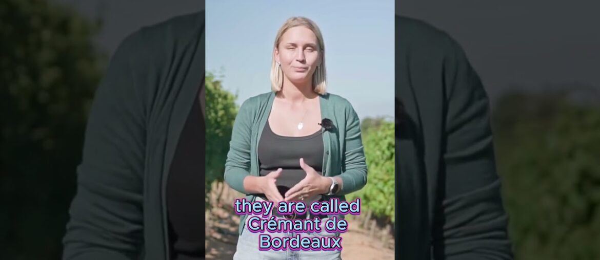 French Wine Voyage. Region Bordeaux #shorts #wine  #vino #wineacademy #sommelier