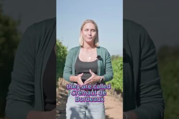 French Wine Voyage. Region Bordeaux #shorts #wine  #vino #wineacademy #sommelier