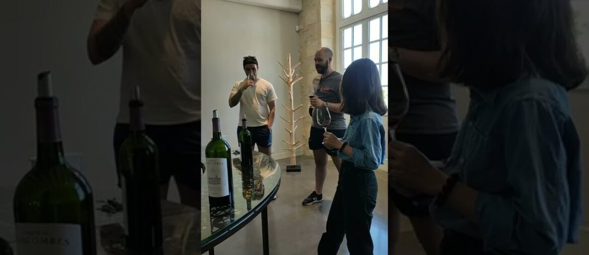 Wine Tasting Bordeaux Chateau, France