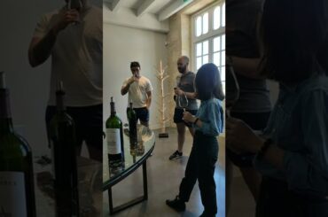 Wine Tasting Bordeaux Chateau, France