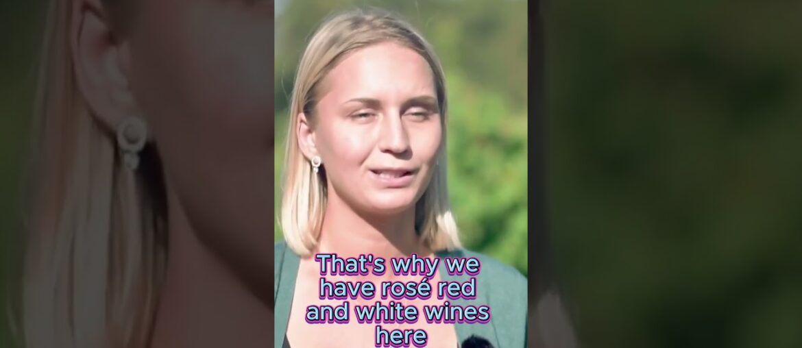 French Wine Voyage. Loire Valley. #shorts #wine  #vino #wineacademy #sommelier