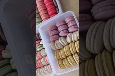 colourful french macarons #mirazinstitute #birthday #macaron