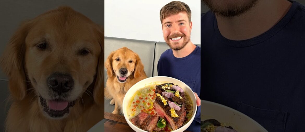 Feeding A Dog $1 vs $10,000 Steak