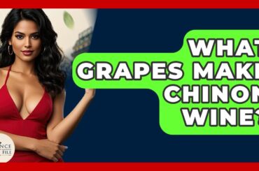 What Grapes Make Chinon Wine? - France Fact File