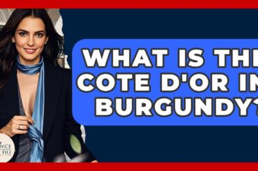 What Is The Cote D'Or In Burgundy? - France Fact File