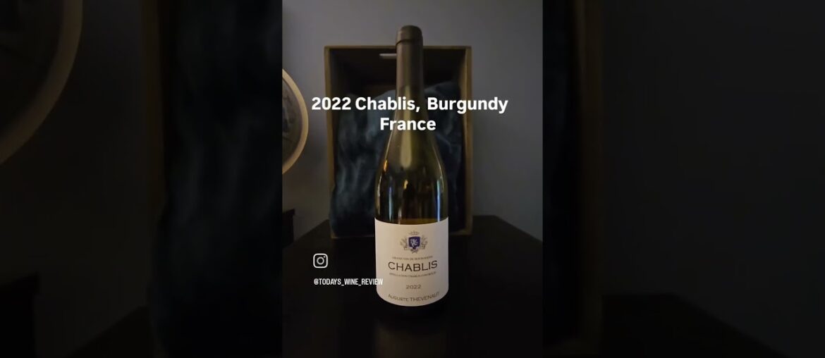 2022 Chablis Wine, Burgundy France.  #vinblanc #frenchwine #vin #chablis
