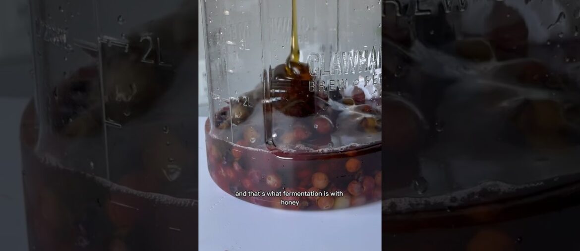 HOMEMADE WINE FROM GRAPES AND HONEY