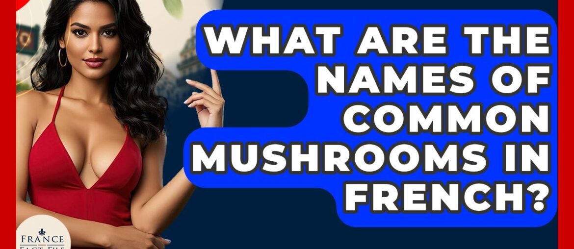 What Are The Names Of Common Mushrooms In French? - France Fact File
