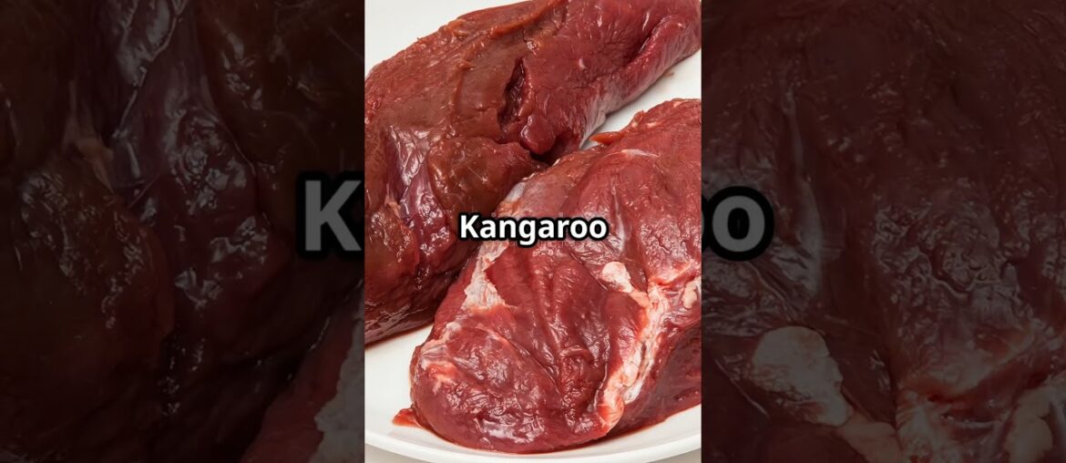 Where to Find Unusual Meats in the USA! #facts #sugodbahaymgakapatid #touristattractions Where to Find Unusual Meats in the USA! #facts #sugodbahaymgakapatid #touristattractions