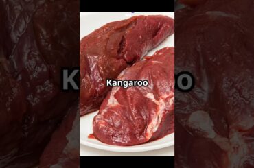 Where to Find Unusual Meats in the USA! #facts #sugodbahaymgakapatid #touristattractions