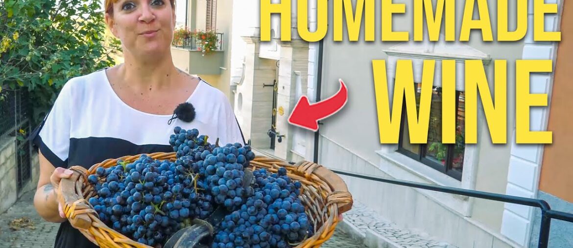 How to Make HOMEMADE WINE Like Farmers in Italy How to Make HOMEMADE WINE Like Farmers in Italy