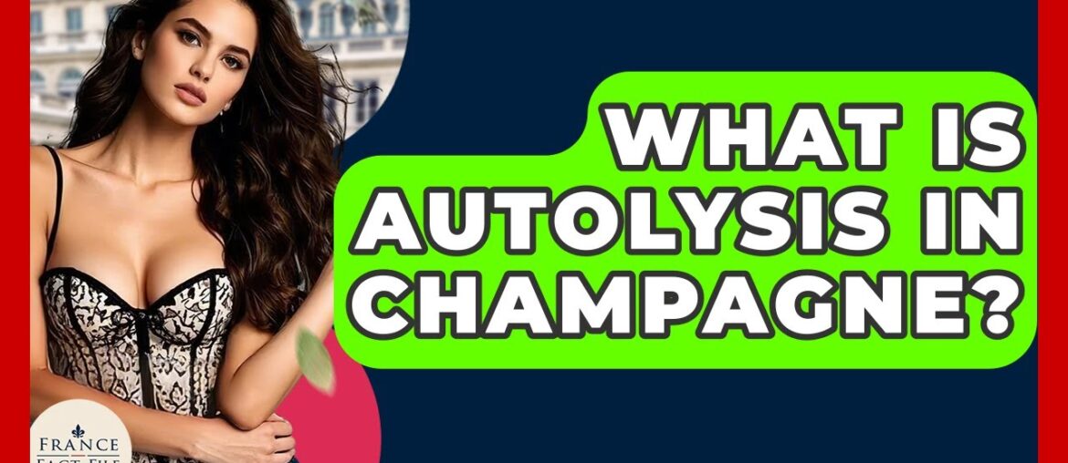 What Is Autolysis In Champagne? – France Fact File What Is Autolysis In Champagne? - France Fact File