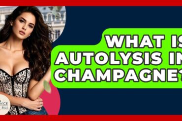 What Is Autolysis In Champagne? - France Fact File