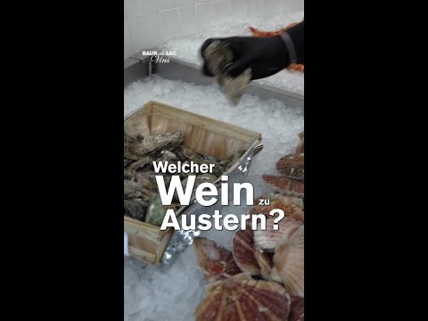 Welcher Wein zu Austern? Welcher Wein zu Austern?