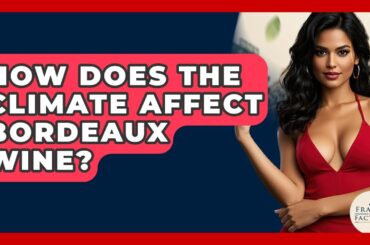 How Does The Climate Affect Bordeaux Wine? - France Fact File