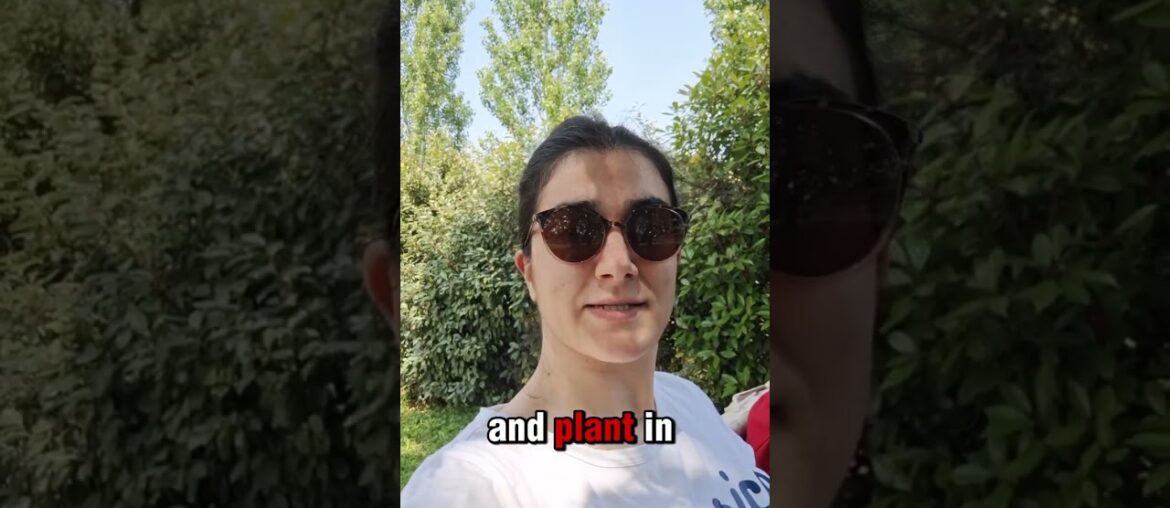 Important to know about french wines