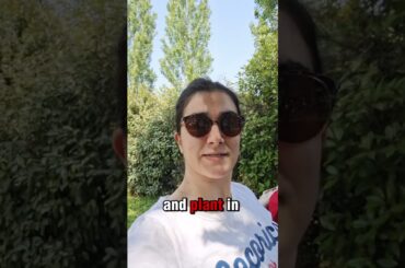 Important to know about french wines