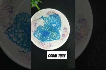 Coral Tuile ( garnish) | Oceanic Elegance on a Plate