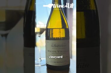 Macon-Vinzelles: A hidden gem!