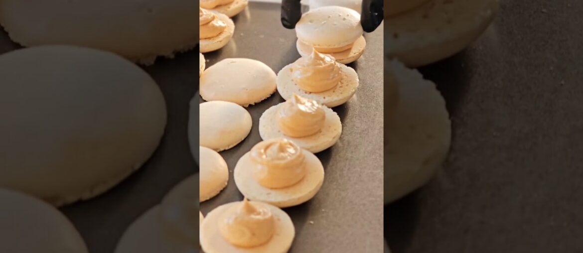 Filling macarons #shorts #filling #macarons #oddlysatisfying