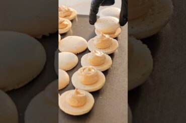 Filling macarons #shorts #filling #macarons #oddlysatisfying