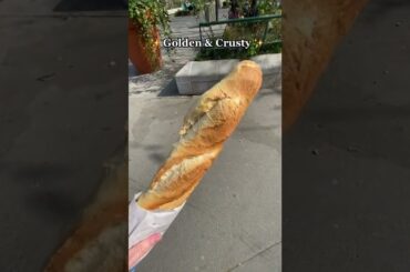 I Tried the Best Baguette in Paris - 1 DAY 1 FRENCH SNACK