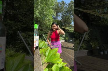 Why you shouldn’t drink French wine? #languagelearning