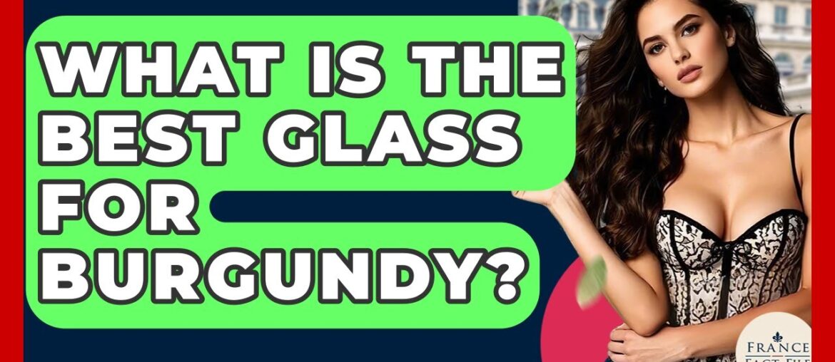 What Is The Best Glass For Burgundy? - France Fact File