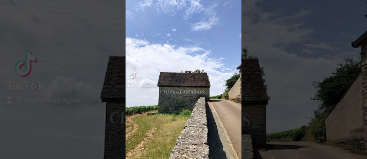 Clos De Lambrays Grand Cru, Bourgogne #thessalonikiwineshow #winestyle #wine #pinotnoir