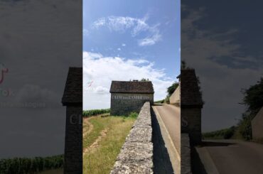 Clos De Lambrays Grand Cru, Bourgogne #thessalonikiwineshow #winestyle #wine #pinotnoir