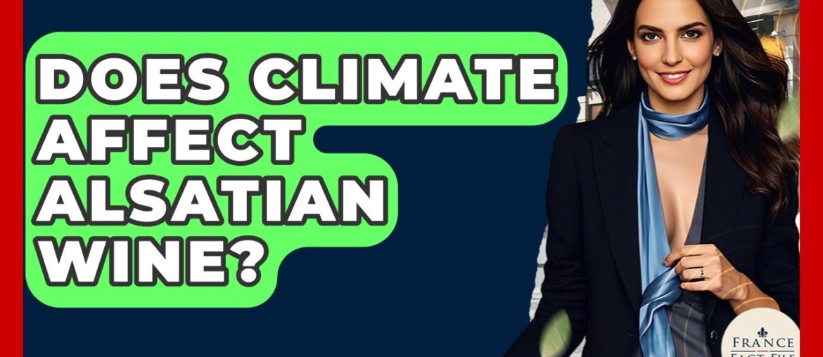 Does Climate Affect Alsatian Wine? - France Fact File