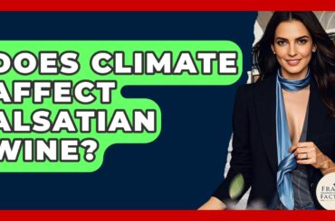 Does Climate Affect Alsatian Wine? - France Fact File