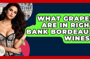 What Grapes Are In Right Bank Bordeaux Wines? - France Fact File