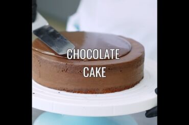 LOCAL CHOCOLATE CAKE #shorts #maastricht