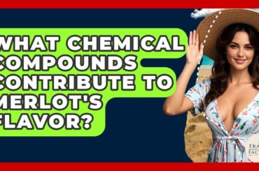 What Chemical Compounds Contribute To Merlot's Flavor? - France Fact File