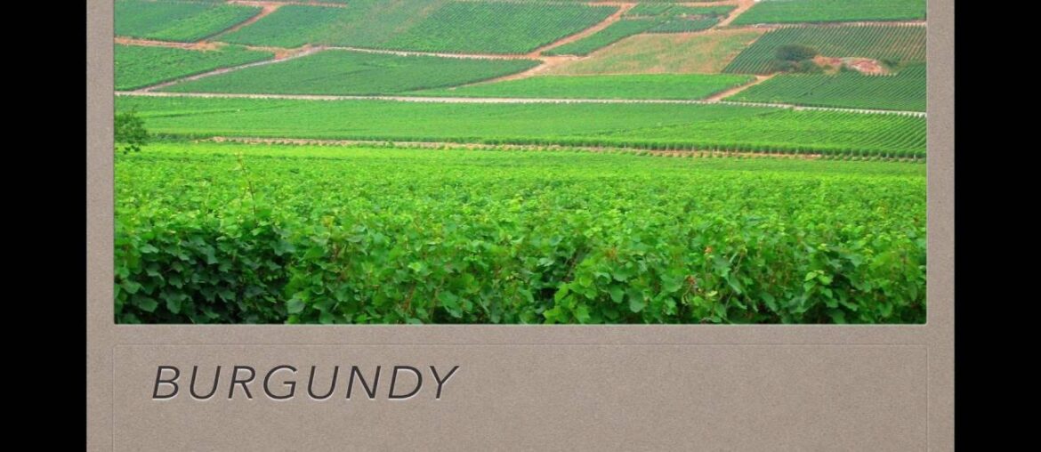 Winecast: Burgundy