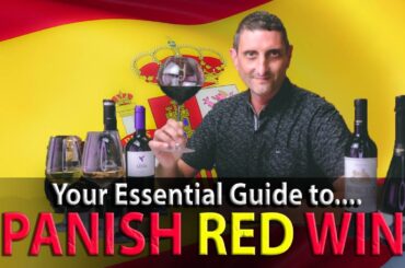 A Complete Overview of Spanish Red Wines