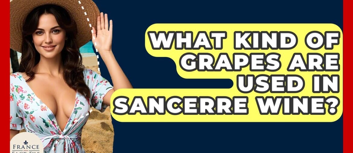 What Kind Of Grapes Are Used In Sancerre Wine? – France Fact File What Kind Of Grapes Are Used In Sancerre Wine? - France Fact File
