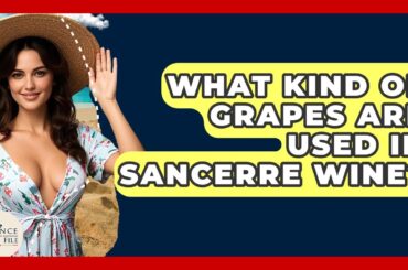 What Kind Of Grapes Are Used In Sancerre Wine? - France Fact File