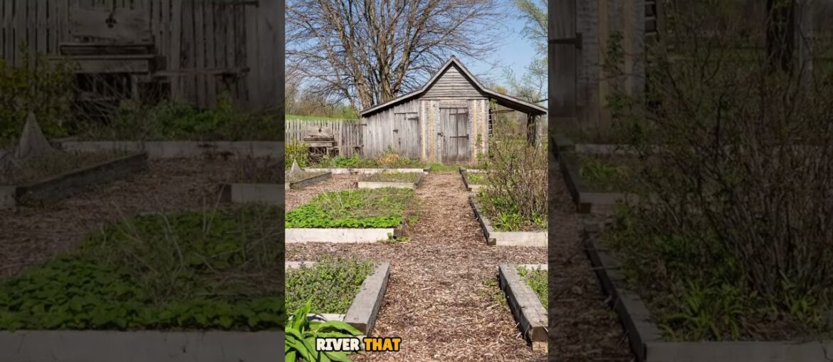 French Forts and Vineyards #adventureexploring #french colonial  #history #history Illinois #wine