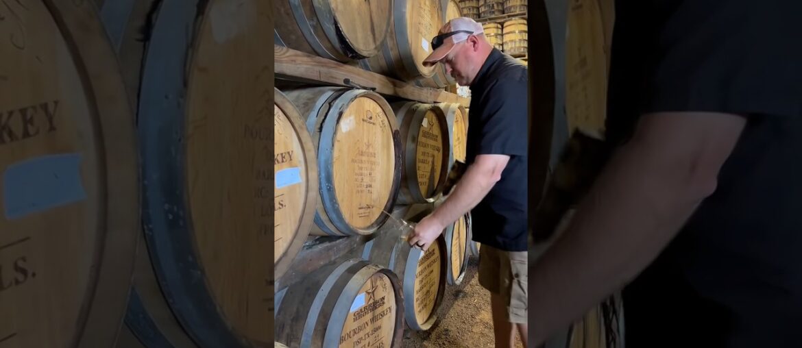 Wine Factory Wine Factory