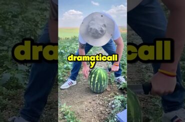 What embarrassing thing have you done that you're actually really proud of?