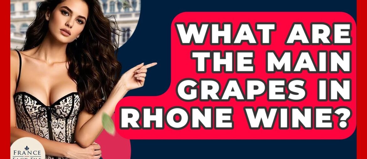 What Are The Main Grapes In Rhone Wine? – France Fact File What Are The Main Grapes In Rhone Wine? - France Fact File