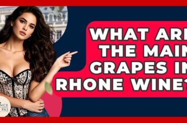What Are The Main Grapes In Rhone Wine? - France Fact File