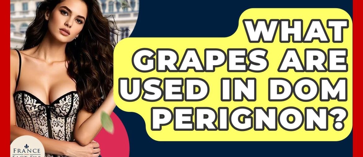 What Grapes Are Used In Dom Perignon? – France Fact File What Grapes Are Used In Dom Perignon? - France Fact File