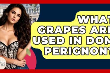 What Grapes Are Used In Dom Perignon? - France Fact File