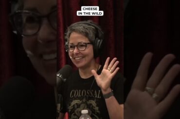 Cheese in the Wild - Beth Shapiro #jre #shorts