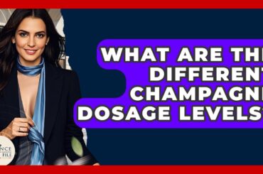 What Are The Different Champagne Dosage Levels? - France Fact File