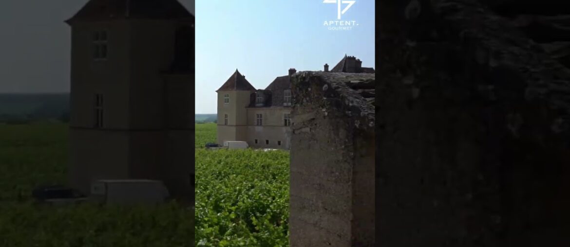Have you guessed which castle it is in Burgundy?