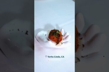 Experience Refined Dining at The Wild Artichoke | Yorba Linda's Culinary Gem